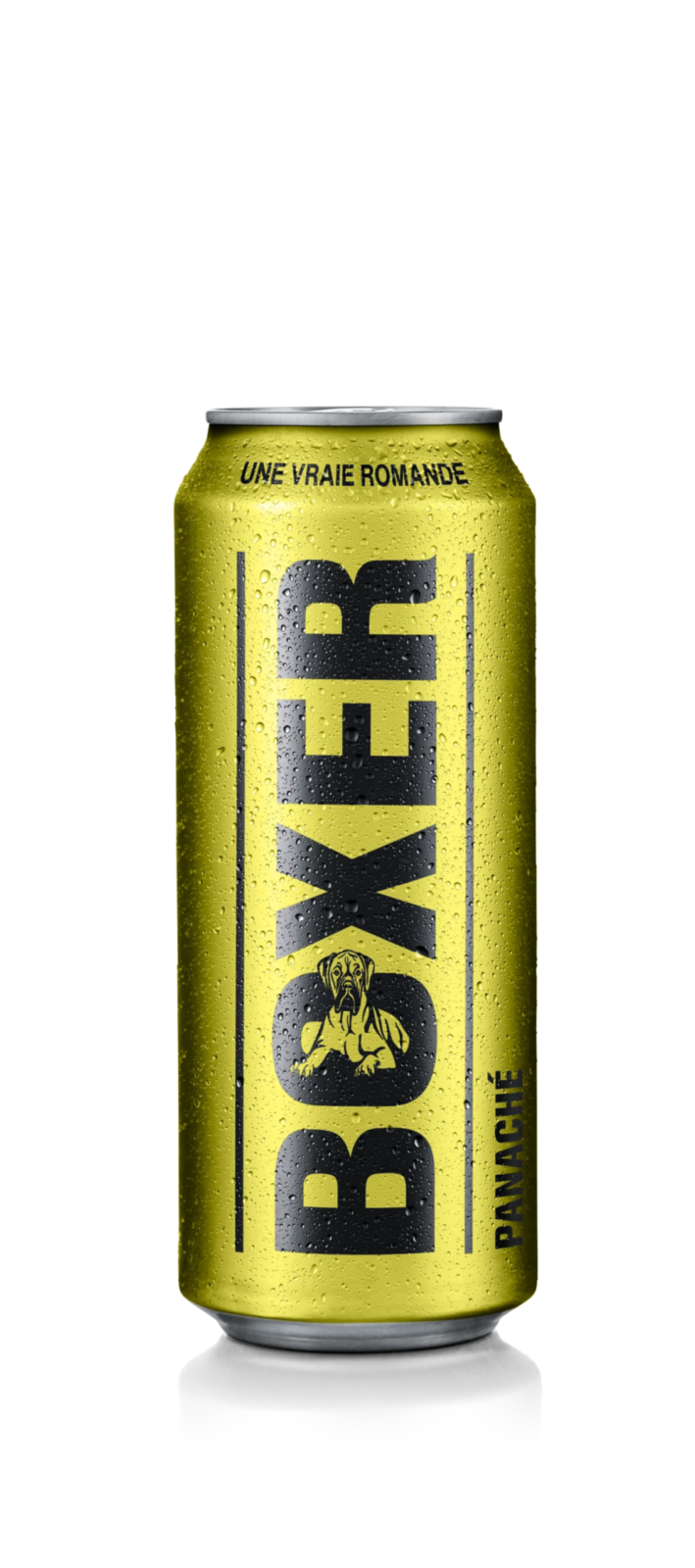 Boxer Panaché boîte